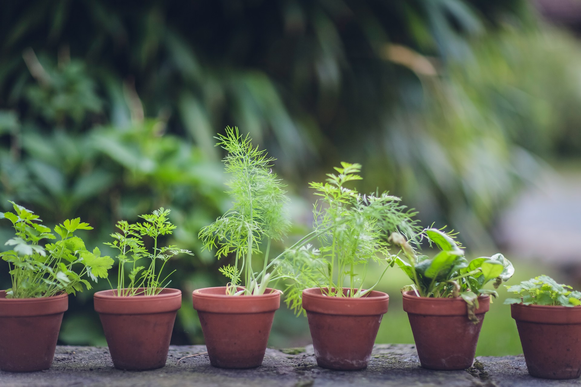 markus-spiske-IRrUkB8Fq-0-unsplash markus-spiske-IRrUkB8Fq-0-unsplash