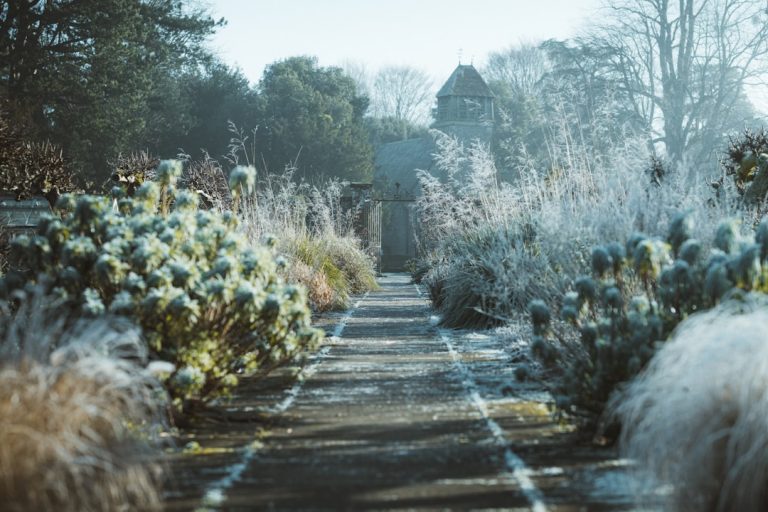 Unleashing Creativity: Transforming Your Garden with Beautiful Bed Creations